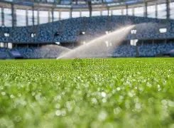 首战半场败,明日夜战必,将闪耀,金宝博188bet体育官网,金宝博188bet体育平台,金宝博188bet体育链接,金宝博188bet体育官方